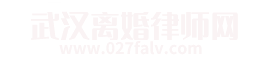 武汉离婚网底部logo